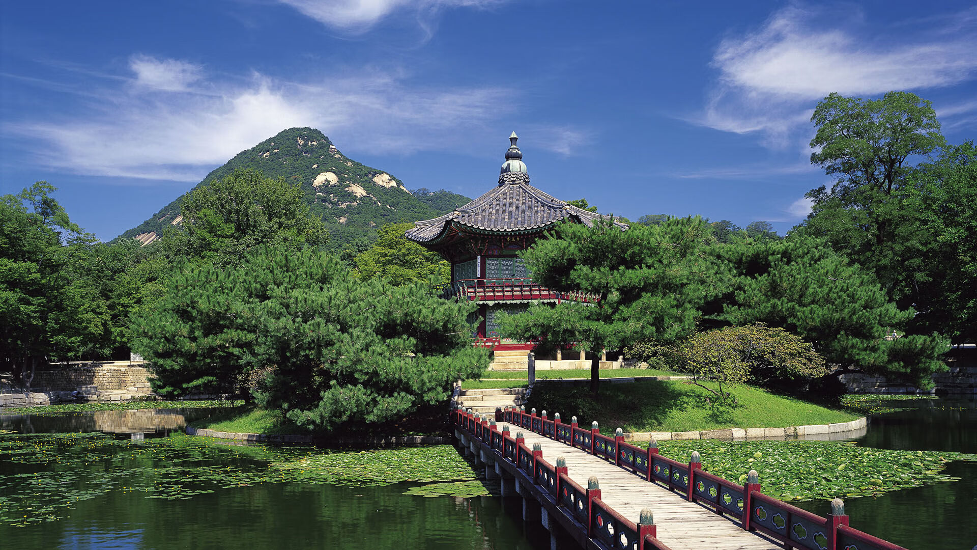 世界拳击退役运动员心理康复成果展示会策划通告，拳击运动员退役伤病