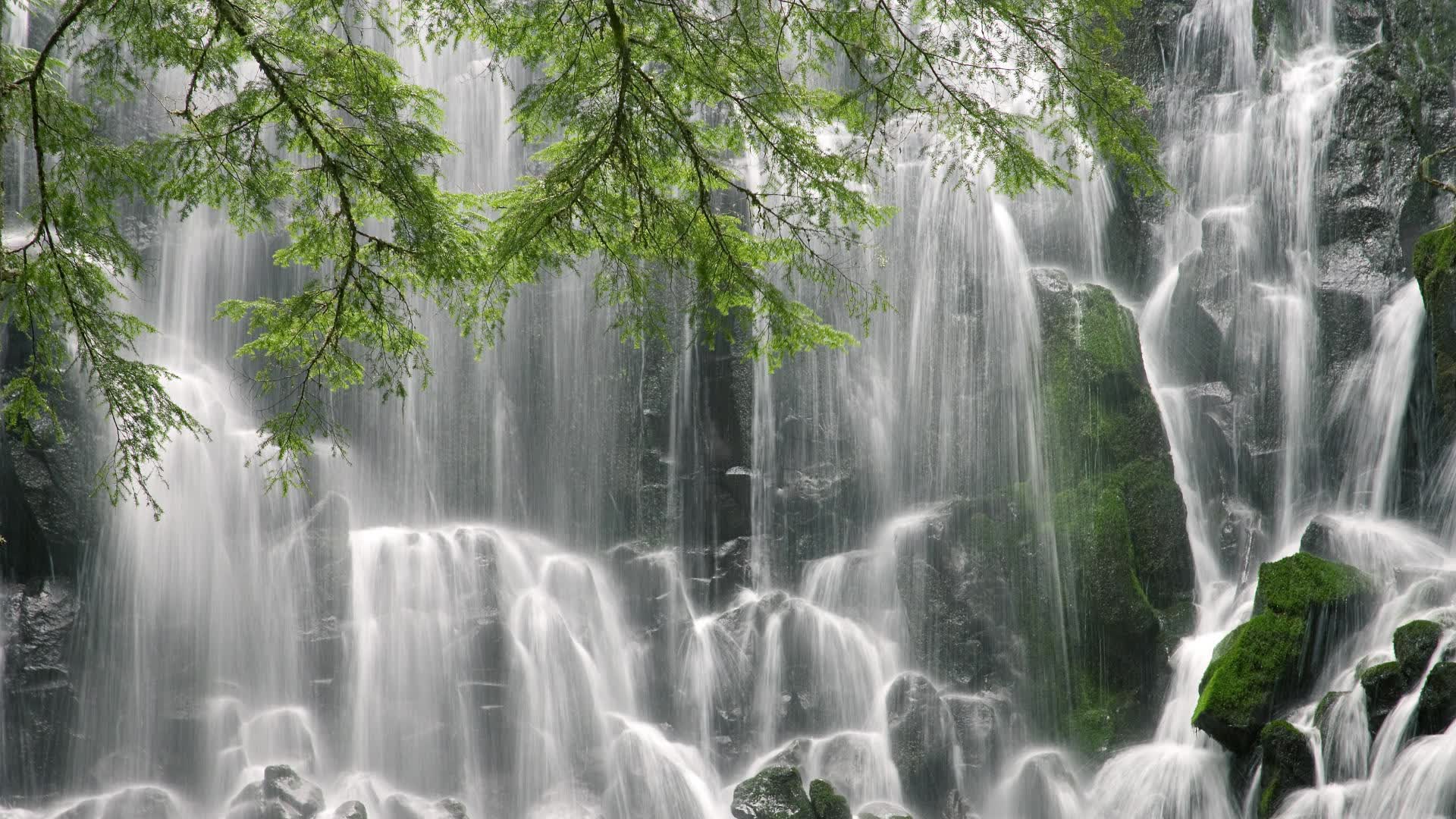世界短道速滑青训名师巡回指导计划发布日程,世界短道速滑比赛